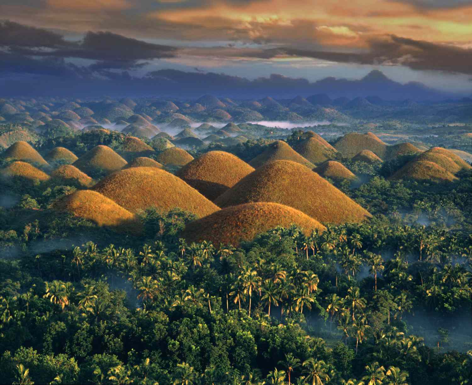بوهول (Bohol)